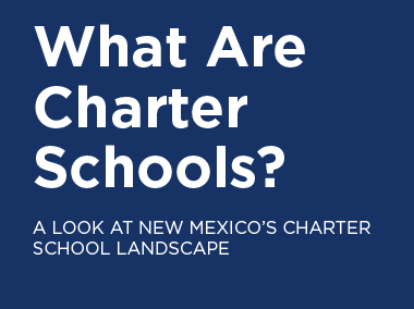 What Are Charter Schools?